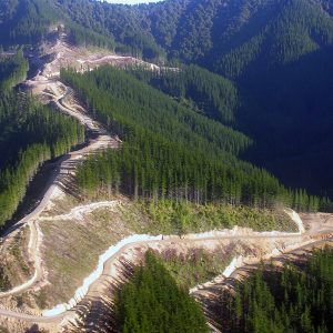 Marlborough, New Zealand: an aerial view of logging tracks.