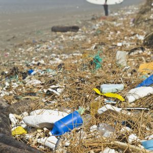 Litter on a shore. The photograph alone does not establish its origin.