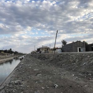 A channel in the wetlands of southern Iraq, 2019.
