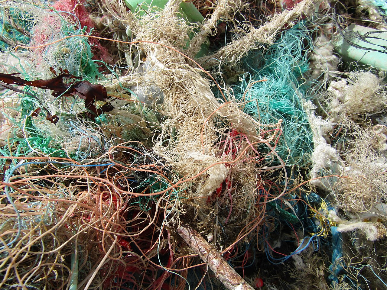 Scabbacombe Sands: a detail of collected shoreline litter.