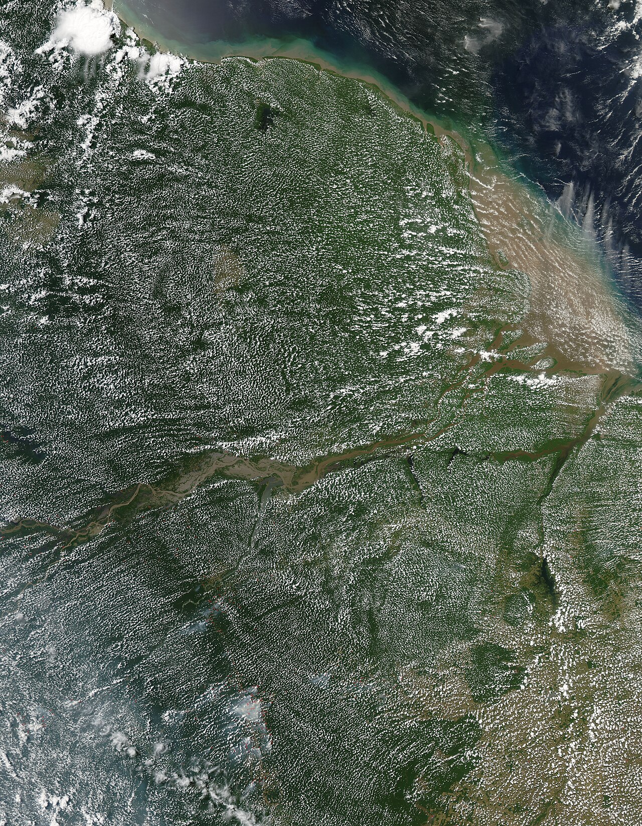 A satellite view of cloud and forest cover over the Amazon.