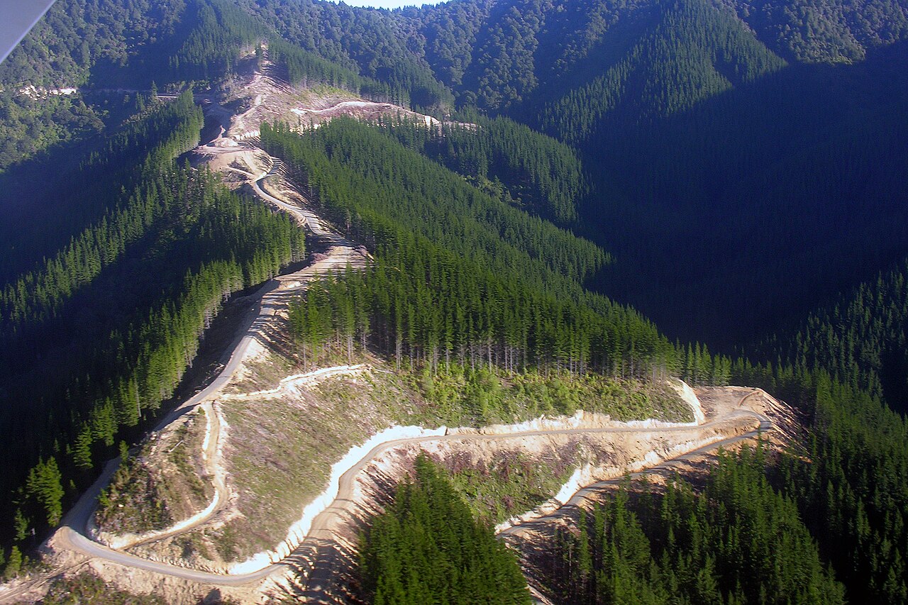 Marlborough, New Zealand: an aerial view of logging tracks.