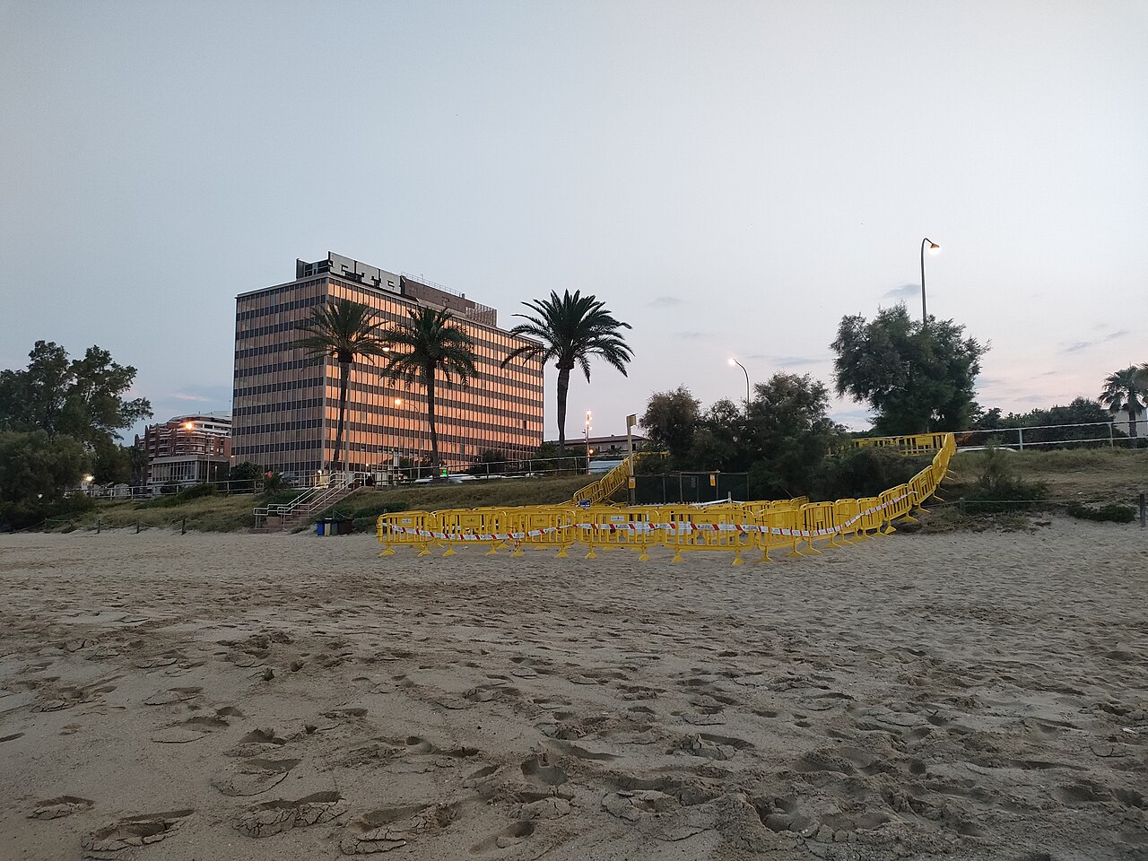 A marked turtle nesting area at Can Pere Antoni beach.