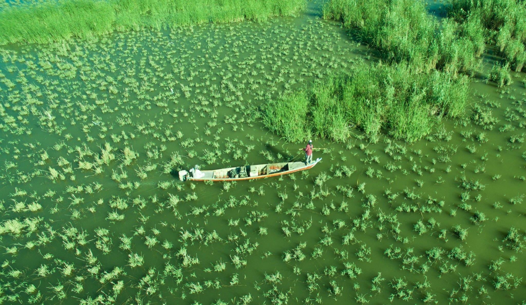 Chibaish wetlands, Iraq: boats on the water.