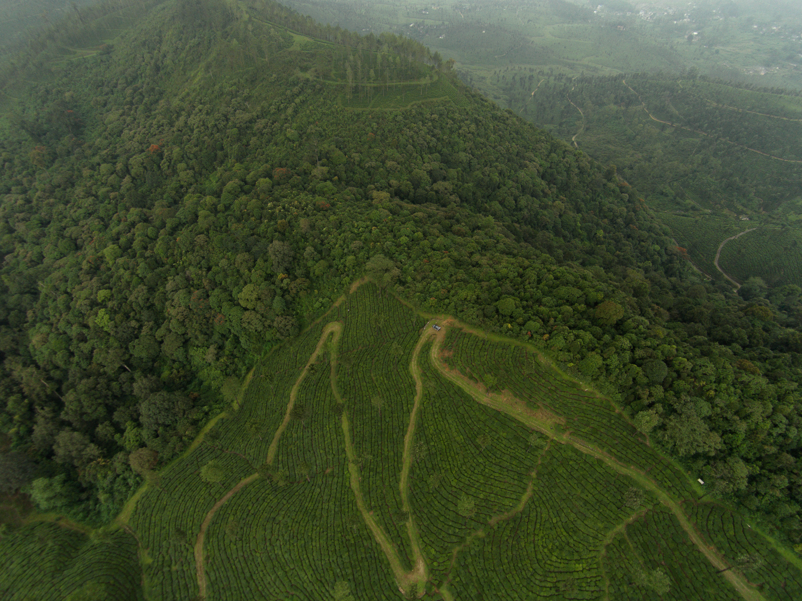 Valparai, India: an aerial view of a road and forest areas.